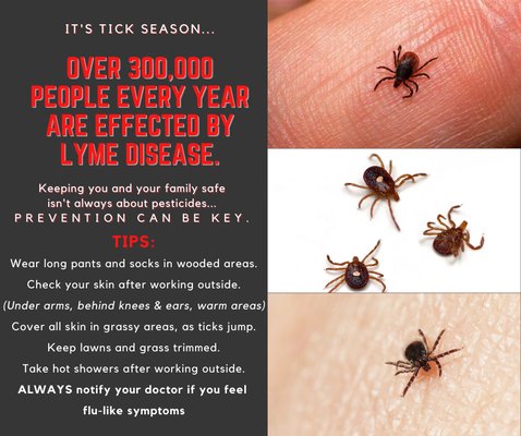 We take the health risk of certain insects extremely seriously. Call today to schedule a tick or flea treatment for your home.