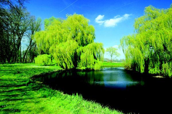 Pond Aeration