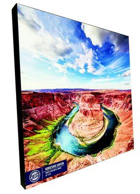 Canvas Prints