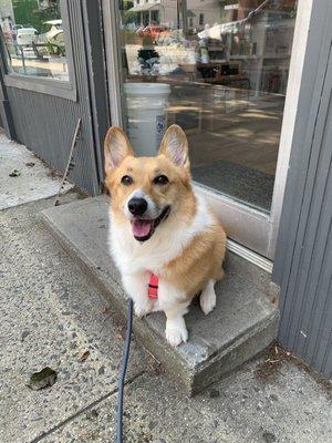 Let us in! We have shopping to do!