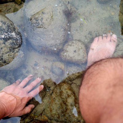 Free shrimp manicure/pedicure!  LOL