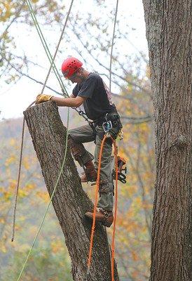 Licensed arborist prescott