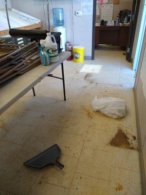 Commercial Cleaning (BEFORE)