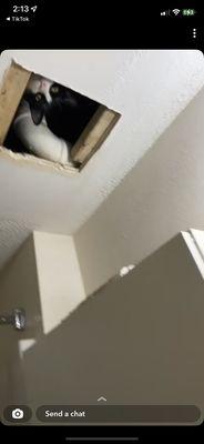 hole in ceiling