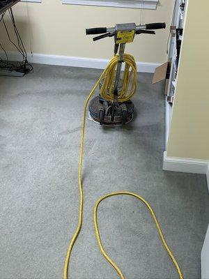 Carpet Cleaning