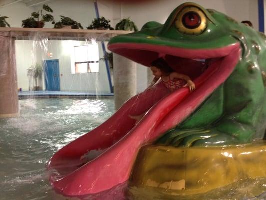 The frog slide in the small children's pool area.