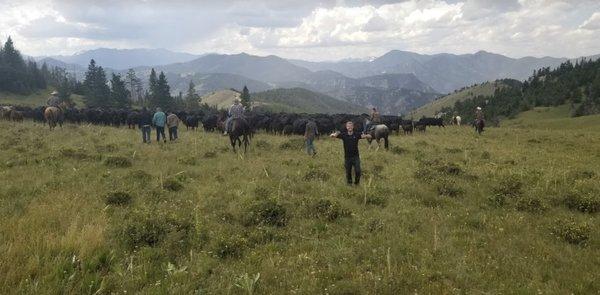 Men's rehab program in Wyoming