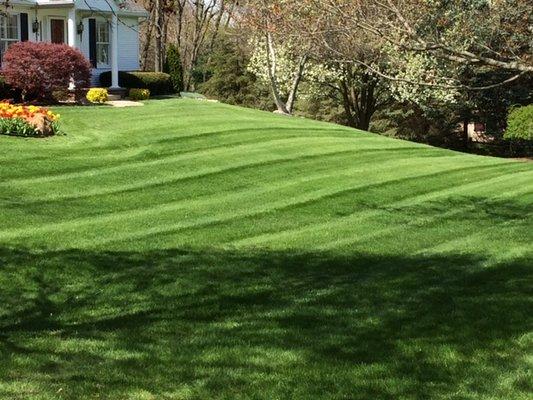 Pro-Stripe Lawn Care