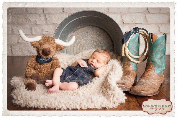 Austin Newborn Photography