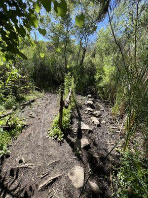 Sweetwater River Trail