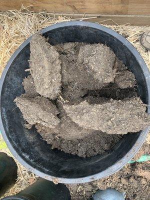 Clumps of mud hard as rocks and a pain to dig out. I threw them into the green bin! Don't get the soil!