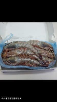 Wild whole shrimp