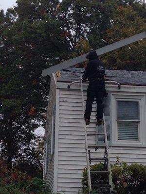 Roof repair from tree damage