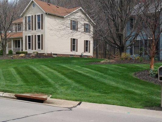 Akron Canton Ohio Lawn Care Services