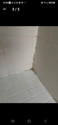 Before cleaning and grout replaced