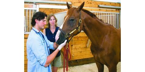 Middlefield Veterinary Clinic