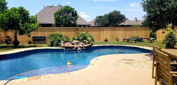 Cedar Privacy Fence with cedar cap and trim