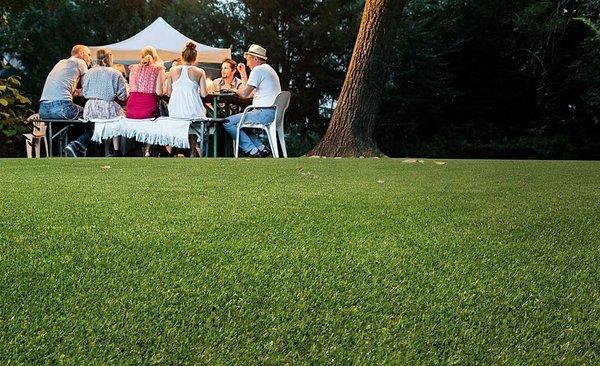 TrueLawn - Artificial Turf Installation Company - Austin