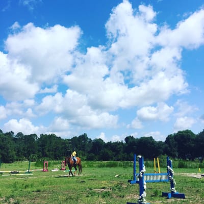 Open, grass riding arena with jumps