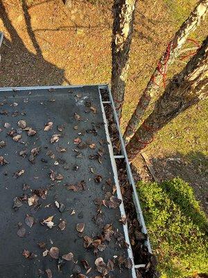 Clogged gutters