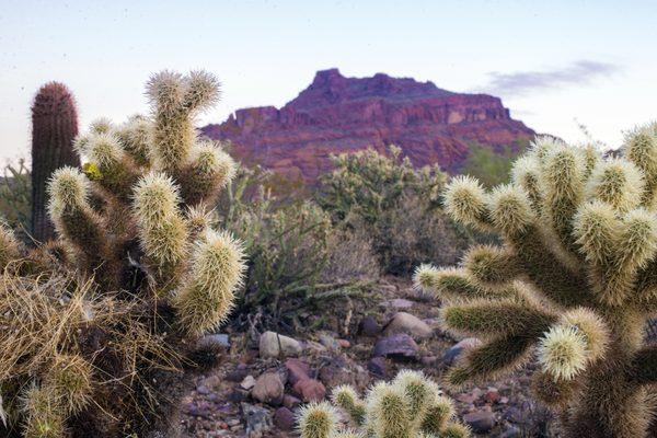 Red Mountain located on the Salt River Pima-Maricopa Indian Community lands.