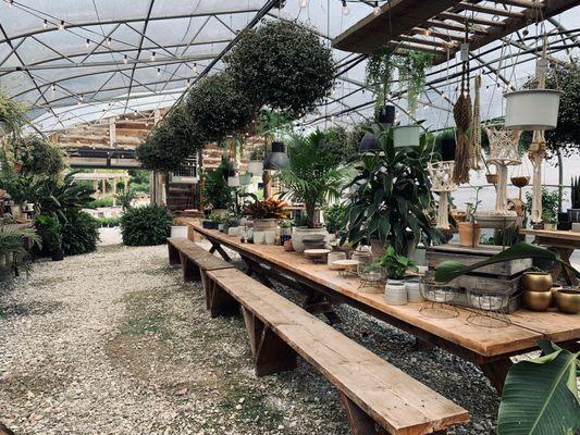 Hueter's Greenhouse