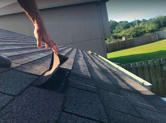 Roof and shingle inspection