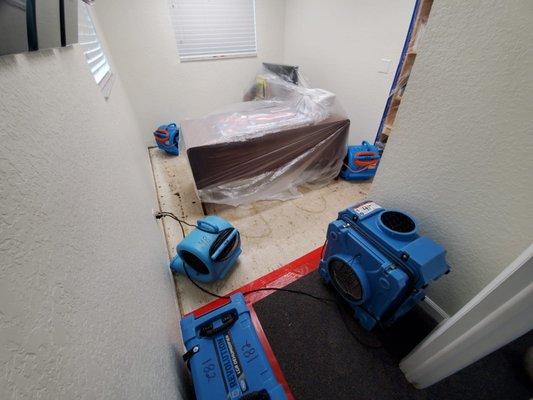 Water Damage Restoration, Damage Restoration, Mold Removal