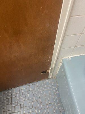 Bathroom Door