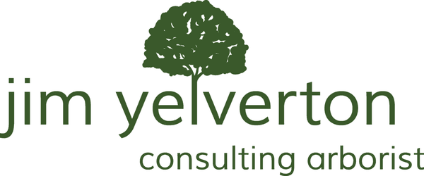 Jim Yelverton Consulting Arborist