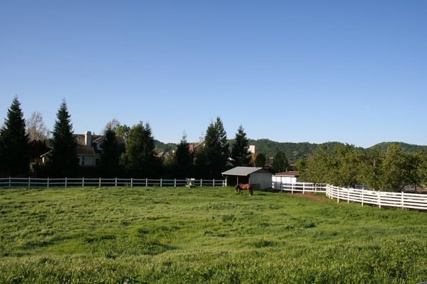 Turnout Pasture