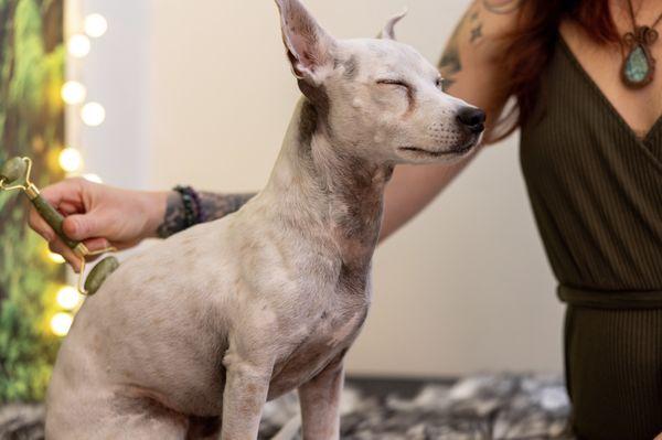 A patient relaxing during myofascial therapy from Dr. Barrett