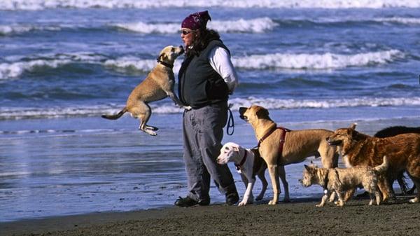 Phoenix, with a pack at Ocean Beach 2000. Kisses!