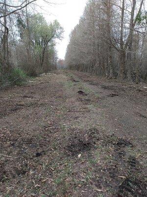 Road clearing For Hunting Clubs