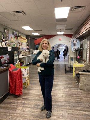 11-27-2021 Lacey the Bichon Frise going home