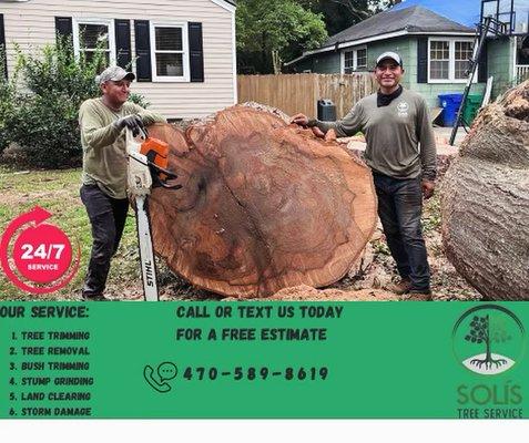 Solis Tree Service LLC
FREE ESTIMATES!!
CALL US NOW @ 470-589-8619