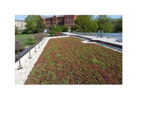 Green Roof Design & Installation at Catholic University