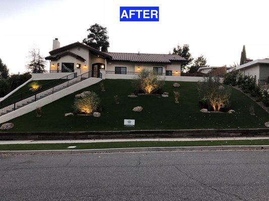 After picture at dusk (2500 sq ft) of pure beauty - Thanks Drought Turf!! ** Sorry about the leaves, the wind picked up