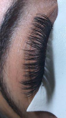 Volume lashes