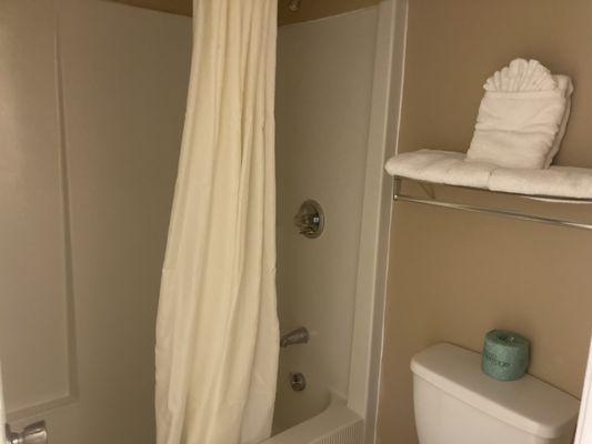 Standard Single Room (Bathroom)