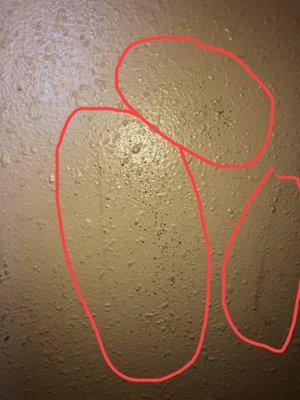 Questionable wall stains