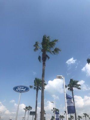 Windy Day at Access Ford