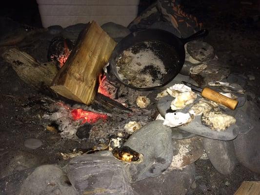 Eating raw and roasted Kachemak oysters on the Homer Spit Beach.