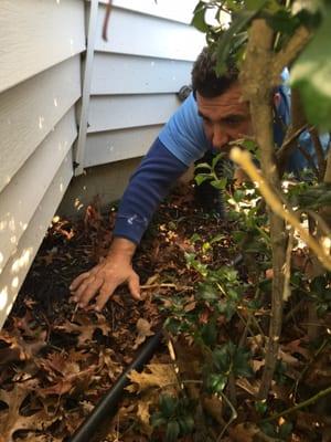 Checking for water and wood destroying insect damage