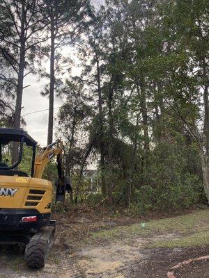 Excavating, lot clearing