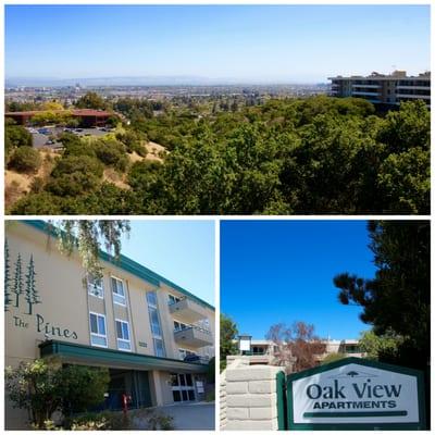 SMI's apartments are Oak View, The Pines, Glendora, Westwood and Crown Towers