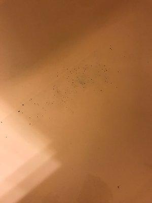 Speckles in tub that won't disappear no matter how hard you scrub