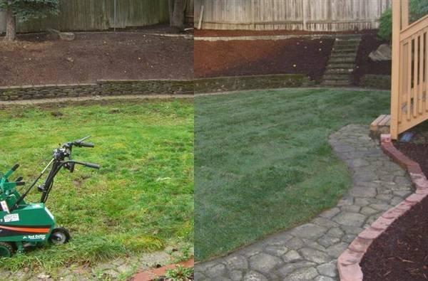 Lawn install - before and after