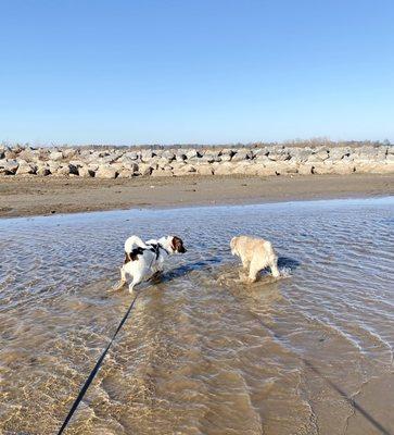 Taking advantage of the last warm weather at Braddock Bay!