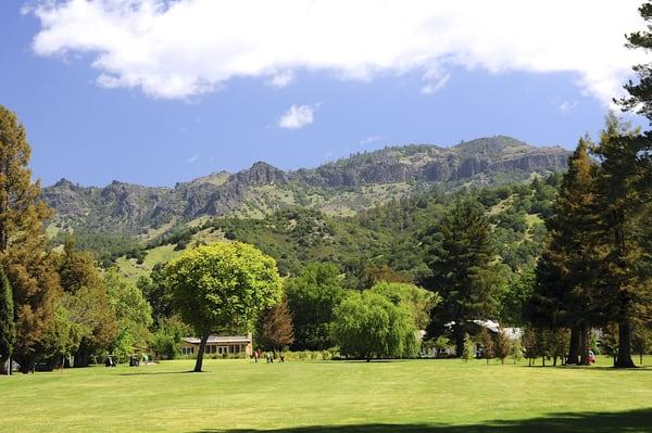 Mount St Helena Golf Course